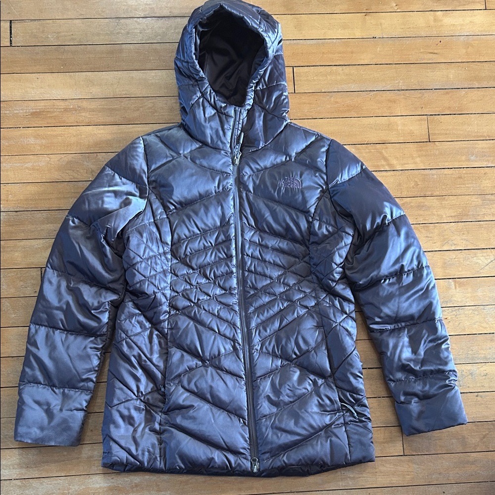 EUC The North Face Women's Metallic Gray/Purple goose down Puffer Jacket
